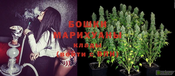 дживик Покров