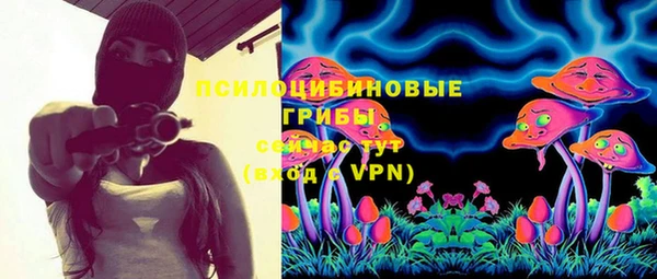 дживик Покров