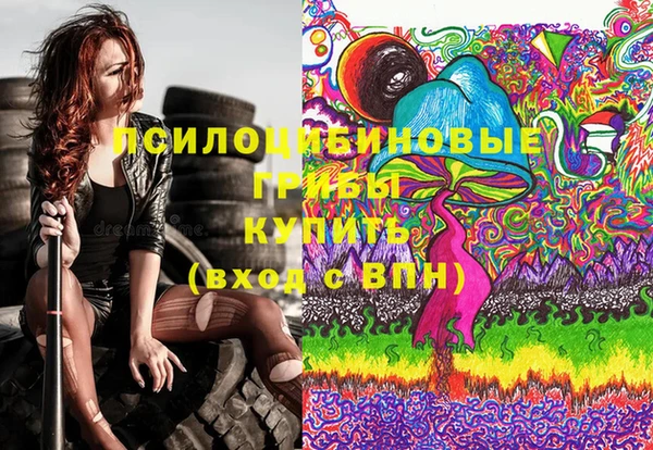МДПВ Пересвет
